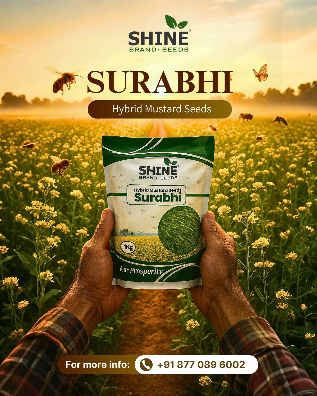 30deb51fbfa65443e56bb8bbe7da87e5